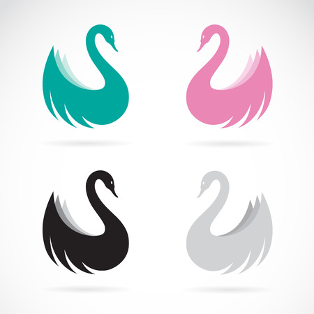 Vector images of swan design on a white background.のイラスト素材