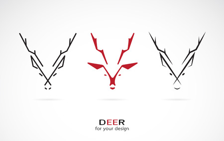Vector image of an deer design on white backgroundのイラスト素材