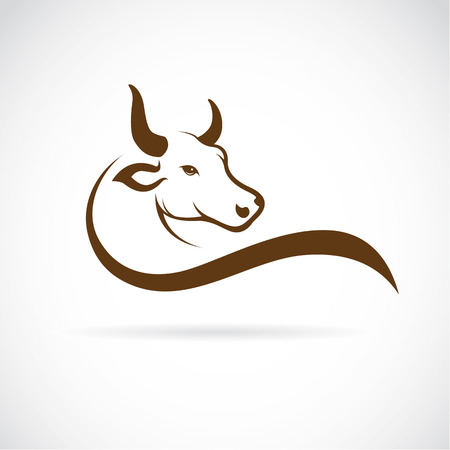 Vector image of an bull head on a white backgroundのイラスト素材