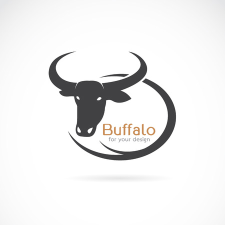 Vector image of an buffalo design on white background.のイラスト素材