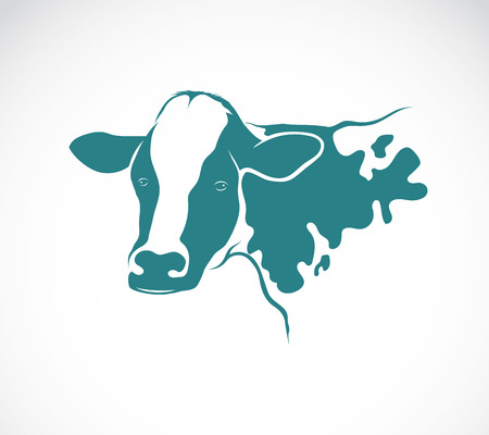 Vector image of an cow on white backgroundのイラスト素材