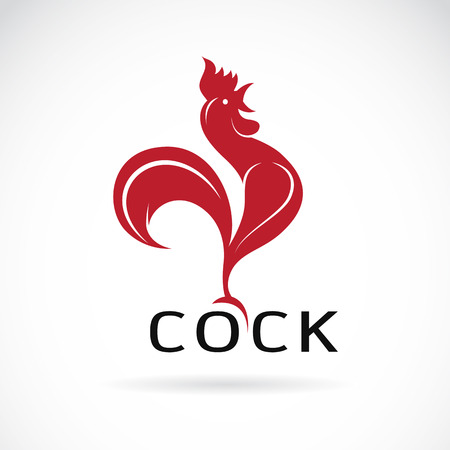 Vector image of an cock design on white backgroundのイラスト素材