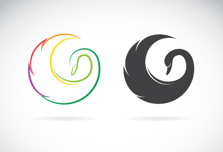 Vector images of swan design on a white background.のイラスト素材