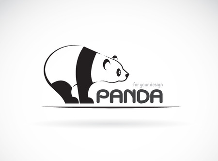Vector image of an panda design on a white backgroundのイラスト素材