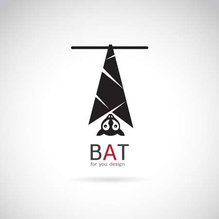 Vector image of an bat design on white backgroundのイラスト素材
