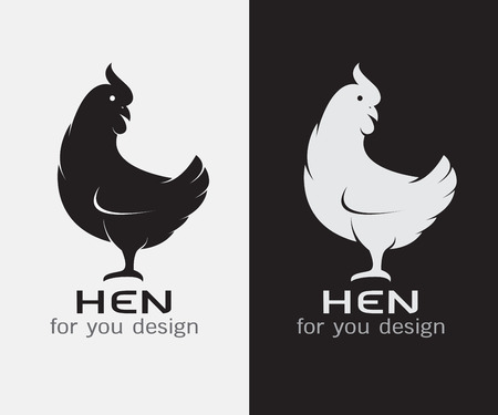 Vector image of an hen on white background and black backgroundのイラスト素材