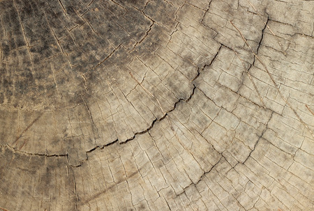 Wood texture with natural patterns. background old panelsの写真素材