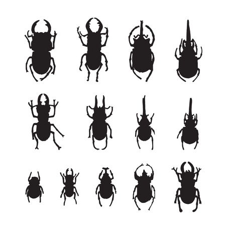 Vector group of insects on white background. Beetleのイラスト素材