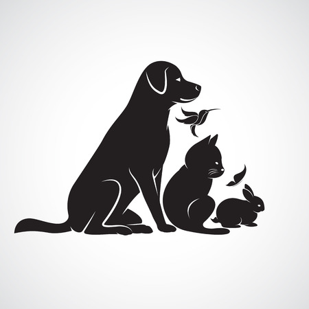 Vector group of pets - Dog, cat, bird,butterfly, rabbit, isolated on white backgroundのイラスト素材