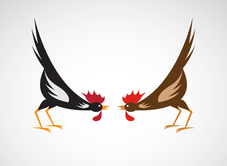 Vector image of an fighting cock on white backgroundのイラスト素材
