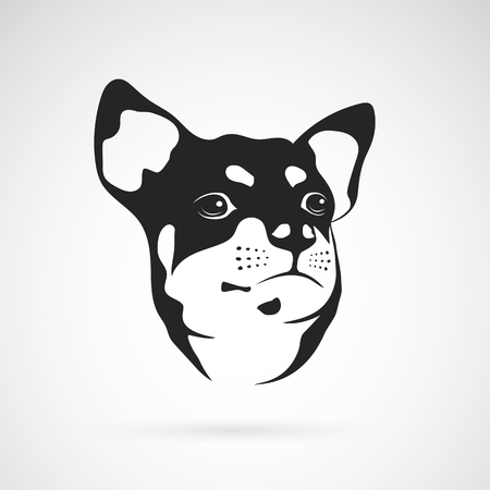 Vector image of an chihuahua dog on white backgroundのイラスト素材