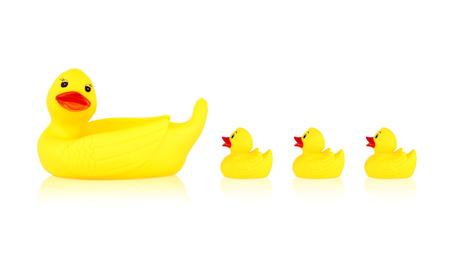 Image of yellow mother duck rubber and ducklings rubber isolated on white backgroundの写真素材