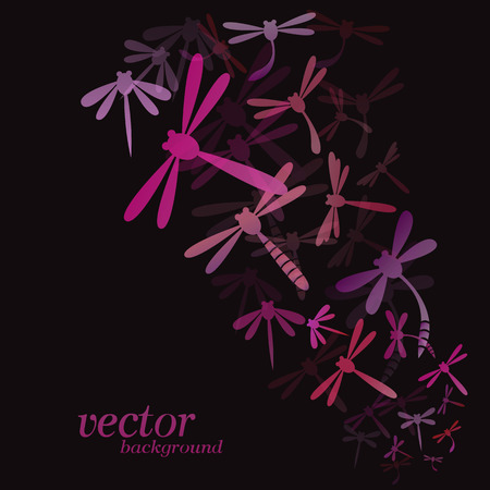 Dragonfly design on black background - Vector Illustration, Backgroundのイラスト素材