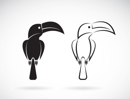 image of an toucan bird design on white backgroundのイラスト素材