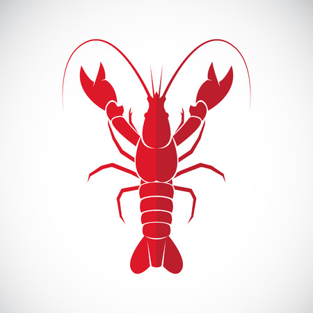 Vector image of an lobster design on white background., Lobster Icon., Vector lobster for your design.のイラスト素材