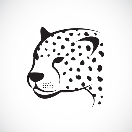 image of an cheetah face on white background. cheetah face for your design.のイラスト素材