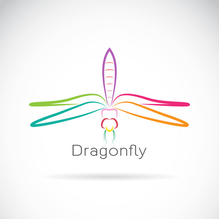 Vector of dragonfly on white backgroundのイラスト素材
