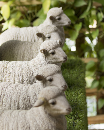 Image of statue sheep on nature background.の写真素材