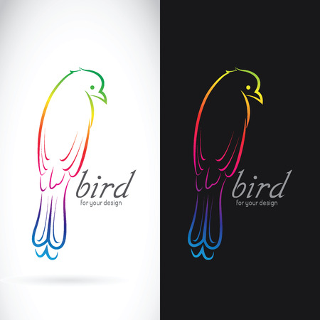 Vector of drongo bird on white background and black background . Birds Icon.のイラスト素材