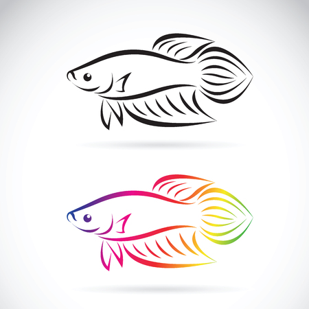 Vector image of a fighting fish design on a white background, Animal Logo. Petのイラスト素材