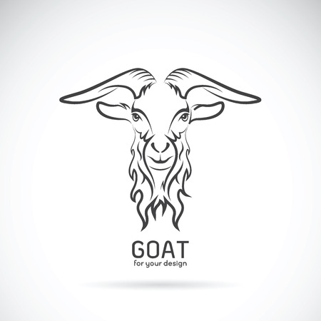 Vector of a goat head design on white background, Wild Animals.のイラスト素材
