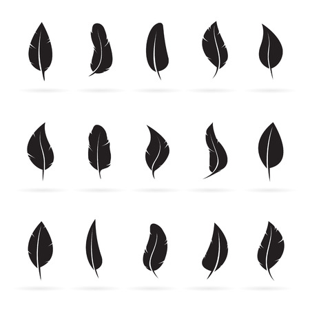 Vector group of feather on white background.のイラスト素材