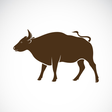 Vector of a bull on a white background. Wild Animalsのイラスト素材