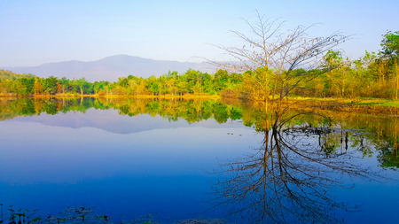 Landscape on the river with forest in thailand.の写真素材