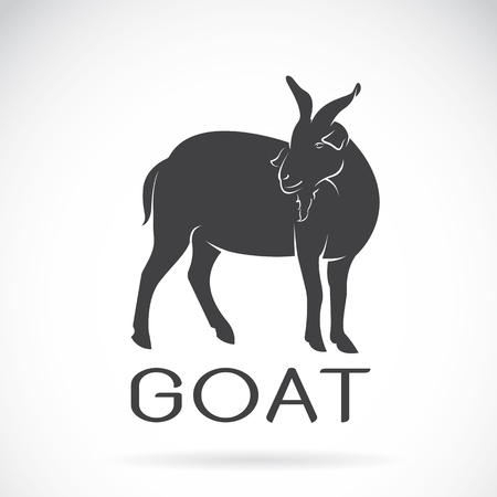 Vector of a goat on a white background. Wild Animals.のイラスト素材