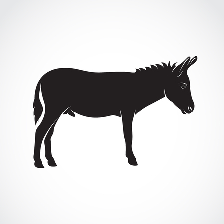 Vector of a donkey on white background. Wild Animals.のイラスト素材