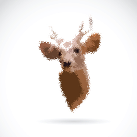 Vector of deer head on white background. Wild Animals.のイラスト素材