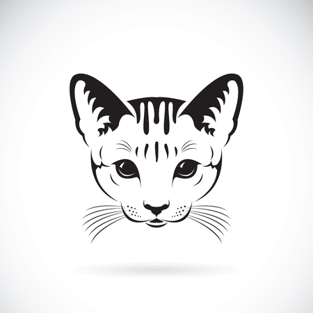Vector of a cat face on white background, Pet. Animals.のイラスト素材
