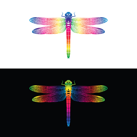 Vector of colorful dragonfly design on white background and  on black background . Insect Animal.のイラスト素材