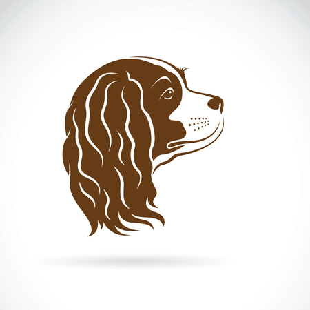 King Charles Spaniel dog on white backgroundのイラスト素材