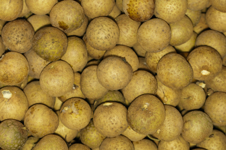 Image of fresh longan from the garden. Food. Fruitの写真素材
