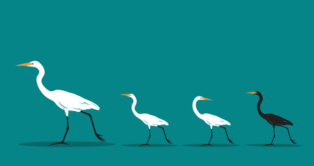 Vector of walking bird on blue background, Difference concept. Animal Idea.のイラスト素材