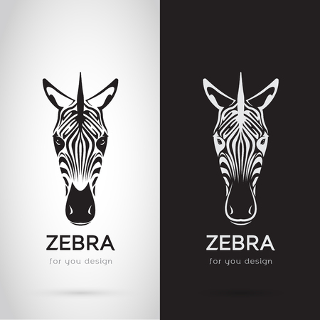 Vector of zebra head design on white background and black background, logo, symbol, label, animalsのイラスト素材