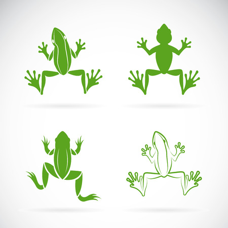 Vector group of frogs design on white background. Amphibian. Animal.のイラスト素材