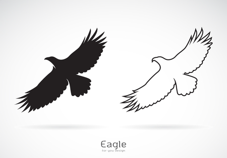 Vector of the eagle is spreading its wings. on white background, Wild Animals. Bird.のイラスト素材