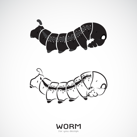 Vector of two caterpillars on white background.のイラスト素材