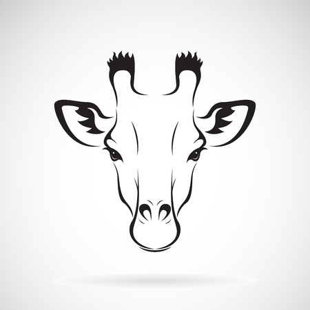 Giraffe head icon.のイラスト素材