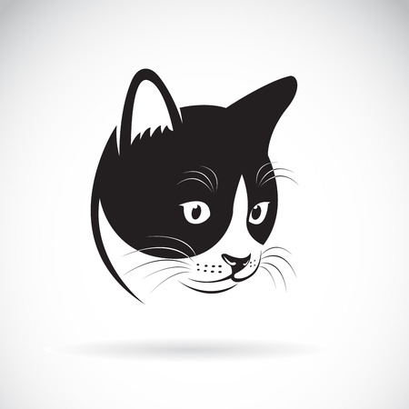 Vector of a cat head design on white background.のイラスト素材