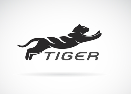 Vector of black tiger design on white background. Wild Animals. Easy editable layered vector illustration.のイラスト素材