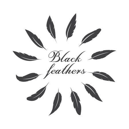 Vector group of black feather on white background. Easy editable layered vector illustration.のイラスト素材