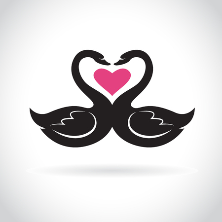 Vector of two loving black swans and pink heart on white background. Wild Animals. swans logo or icon. Easy editable layered vector illustration.のイラスト素材