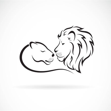 Male lion and female lion design on whiteのイラスト素材