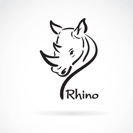 Vector of freehand rhino head painting on white