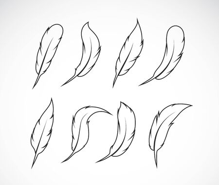 Vector group of feather on white background. Easy editable layered vector illustration.のイラスト素材