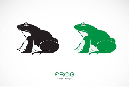 Vector of green frogs and black frog on white background. Amphibian. Animal. Frog Icon or logo. Easy editable layered vector illustration.のイラスト素材