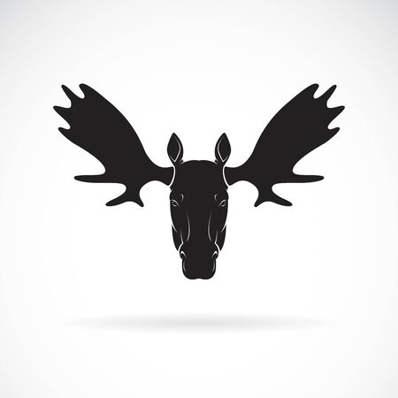 Vector of moose deer head design on whiteのイラスト素材